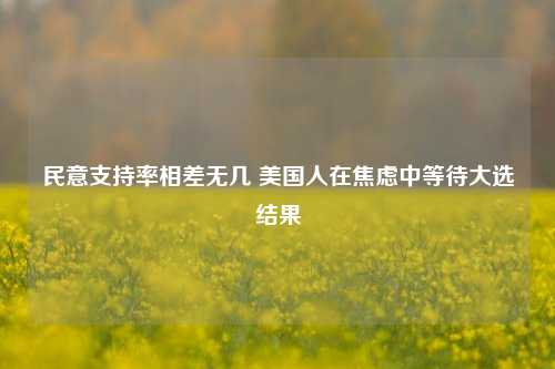 民意支持率相差无几 美国人在焦虑中等待大选结果