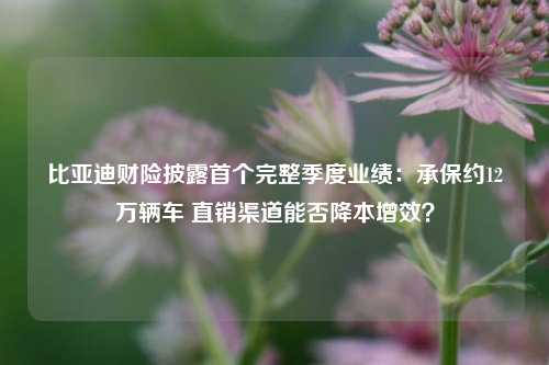 比亚迪财险披露首个完整季度业绩：承保约12万辆车 直销渠道能否降本增效？