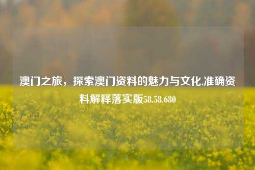 澳门之旅，探索澳门资料的魅力与文化,准确资料解释落实版58.58.680