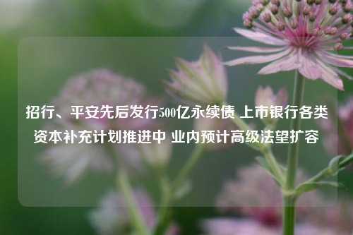 招行、平安先后发行500亿永续债 上市银行各类资本补充计划推进中 业内预计高级法望扩容