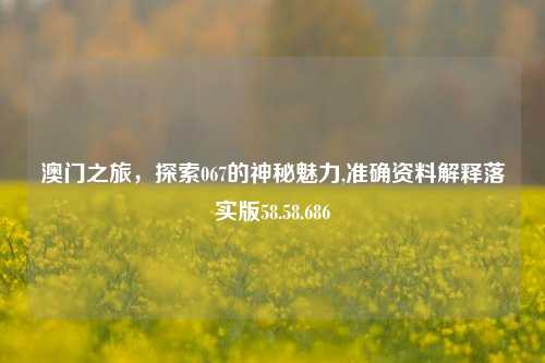 澳门之旅，探索067的神秘魅力,准确资料解释落实版58.58.686