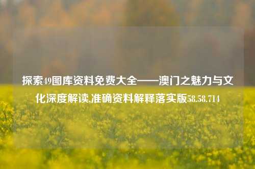 探索49图库资料免费大全——澳门之魅力与文化深度解读,准确资料解释落实版58.58.714