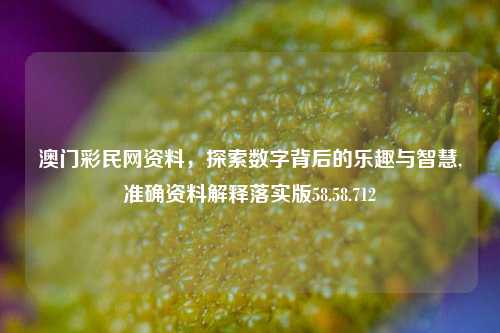 澳门彩民网资料，探索数字背后的乐趣与智慧,准确资料解释落实版58.58.712