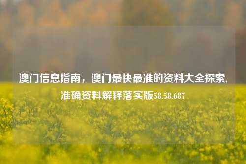 澳门信息指南，澳门最快最准的资料大全探索,准确资料解释落实版58.58.687