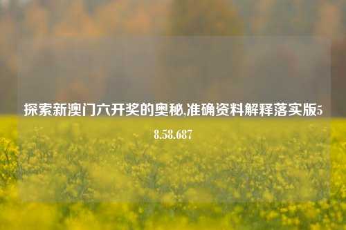 探索新澳门六开奖的奥秘,准确资料解释落实版58.58.687