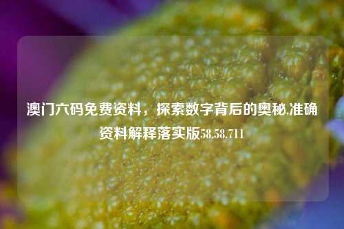 澳门六码免费资料，探索数字背后的奥秘,准确资料解释落实版58.58.711