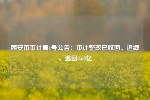 西安市审计局1号公告：审计整改已收回、追缴、退回3.68亿