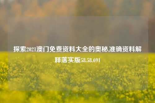 探索2021澳门免费资料大全的奥秘,准确资料解释落实版58.58.691